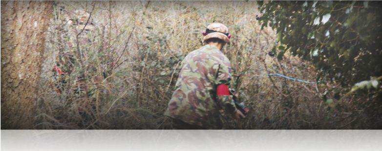 Welcome to Cannington Park Paintball